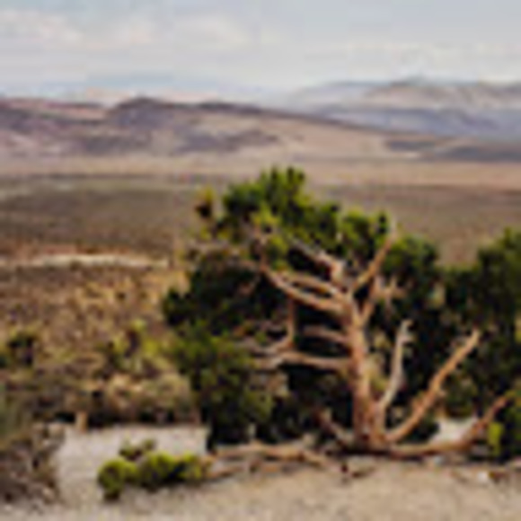 Meet your Posher, Jessica - Picture 1 of 1